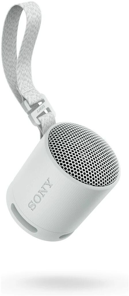 Sony SRS-XB100