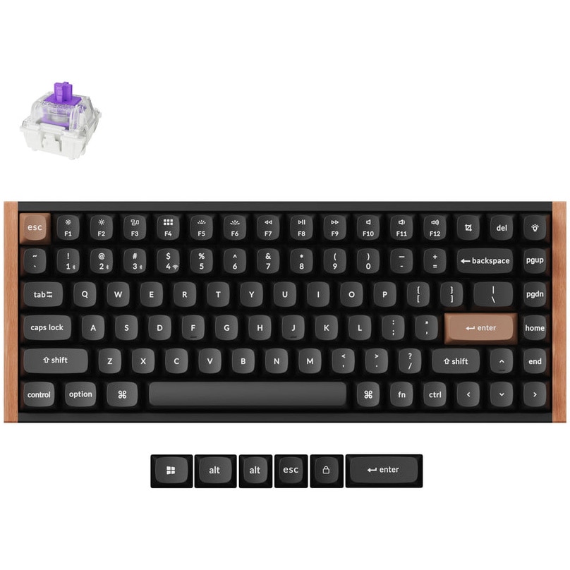 Tastatura mecanica wireless Keychron K2 HE, switch-uri magnetice, Special Edition Negru
